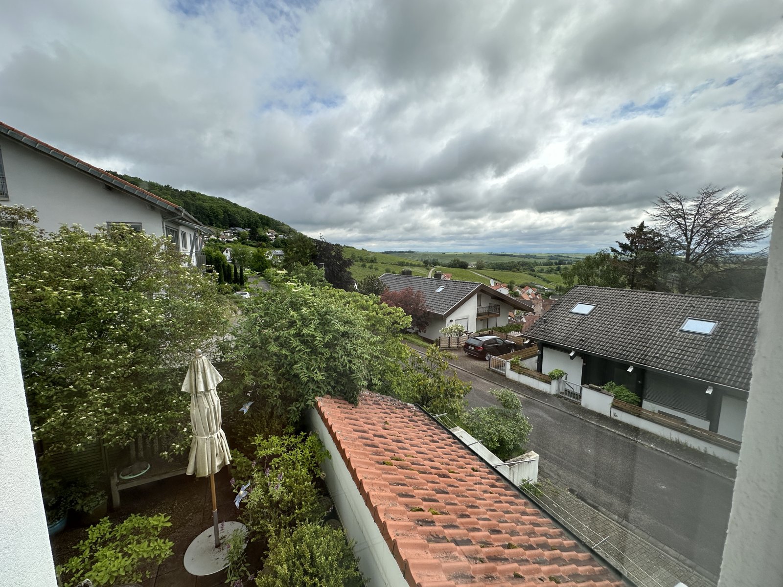 Blick