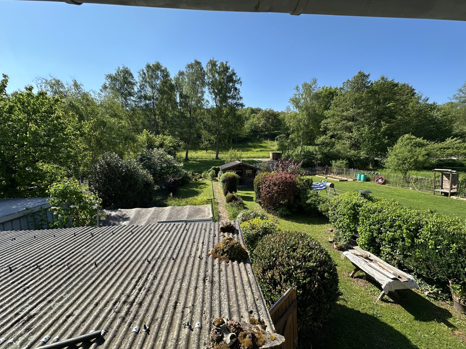 Blick DT