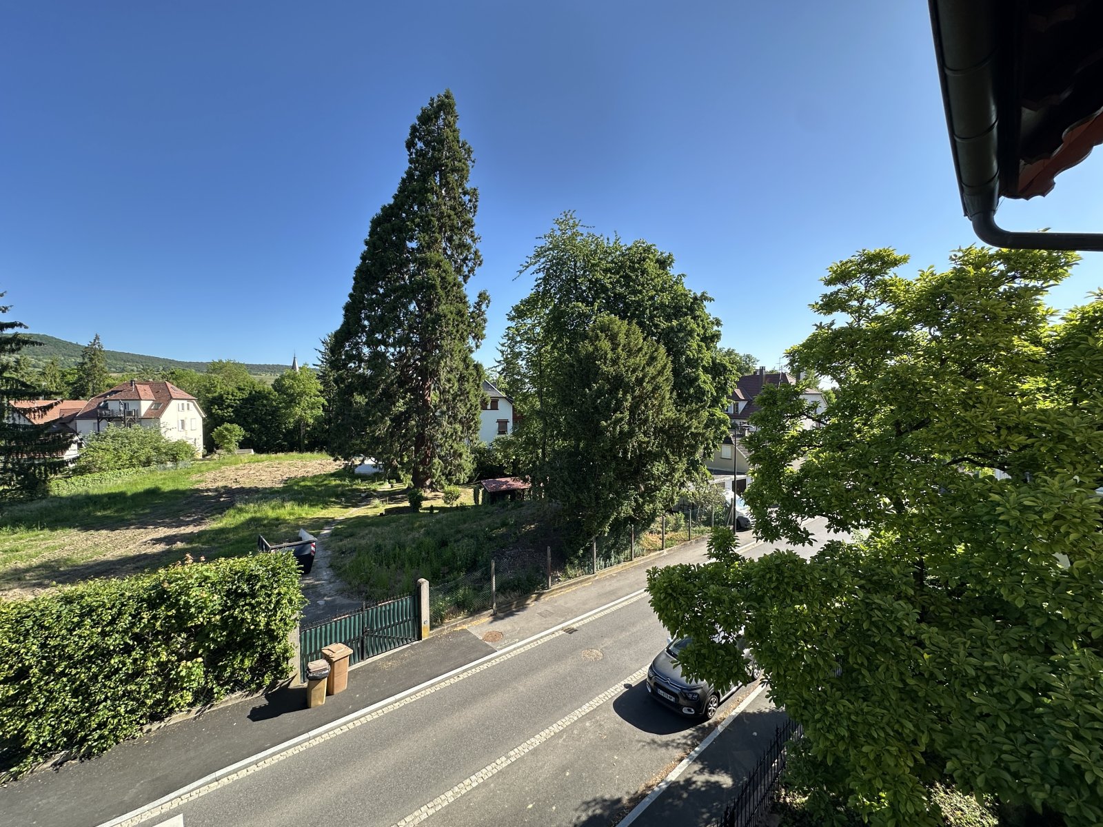 Blick