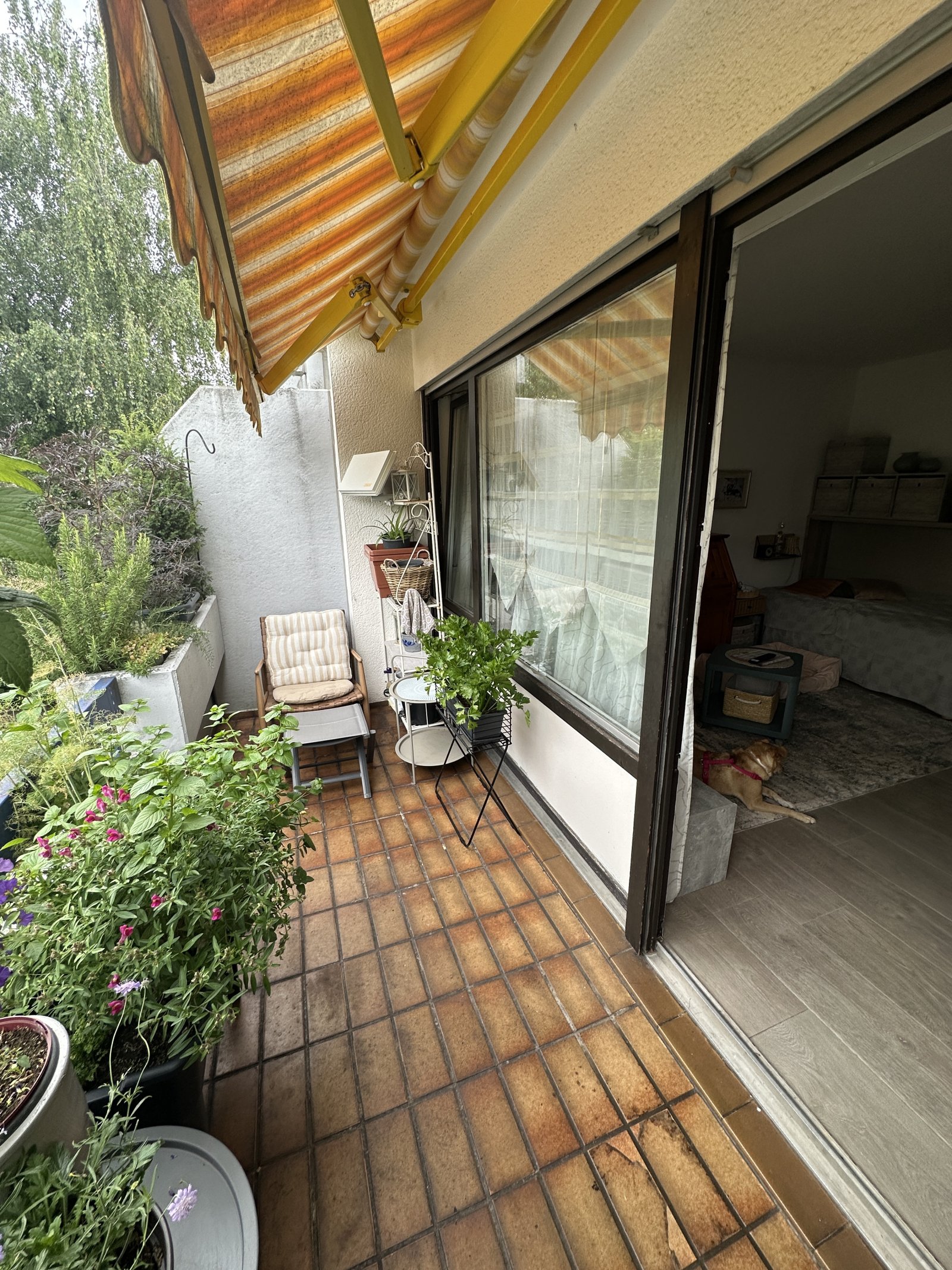 Balkon 