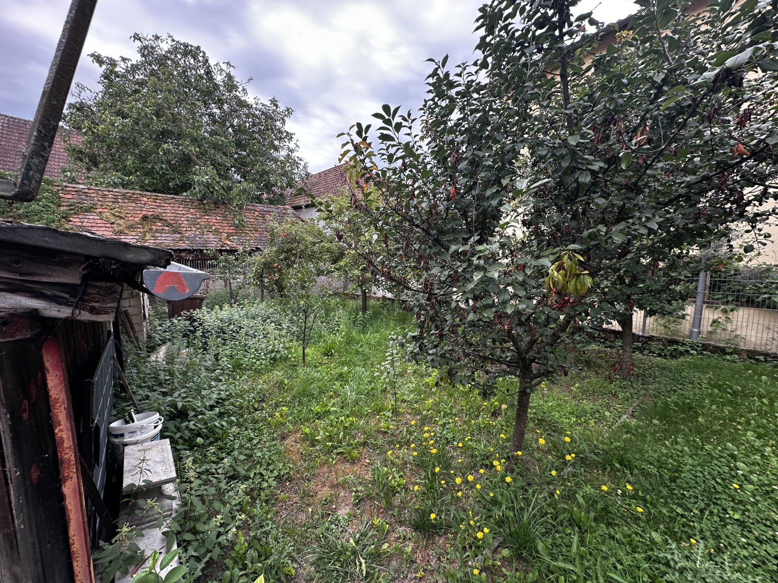 EG-Garten 