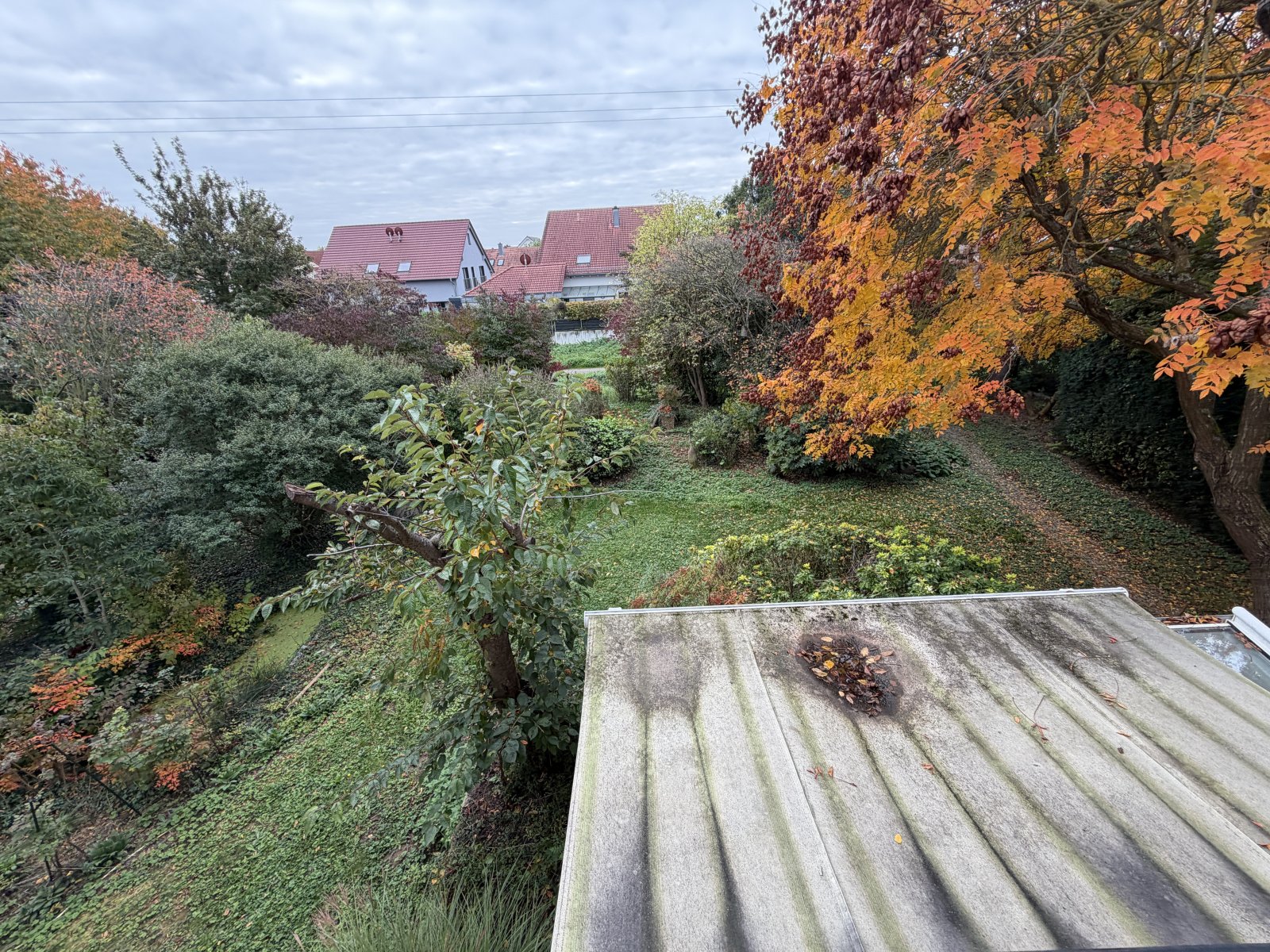 OG-Blick-Garten