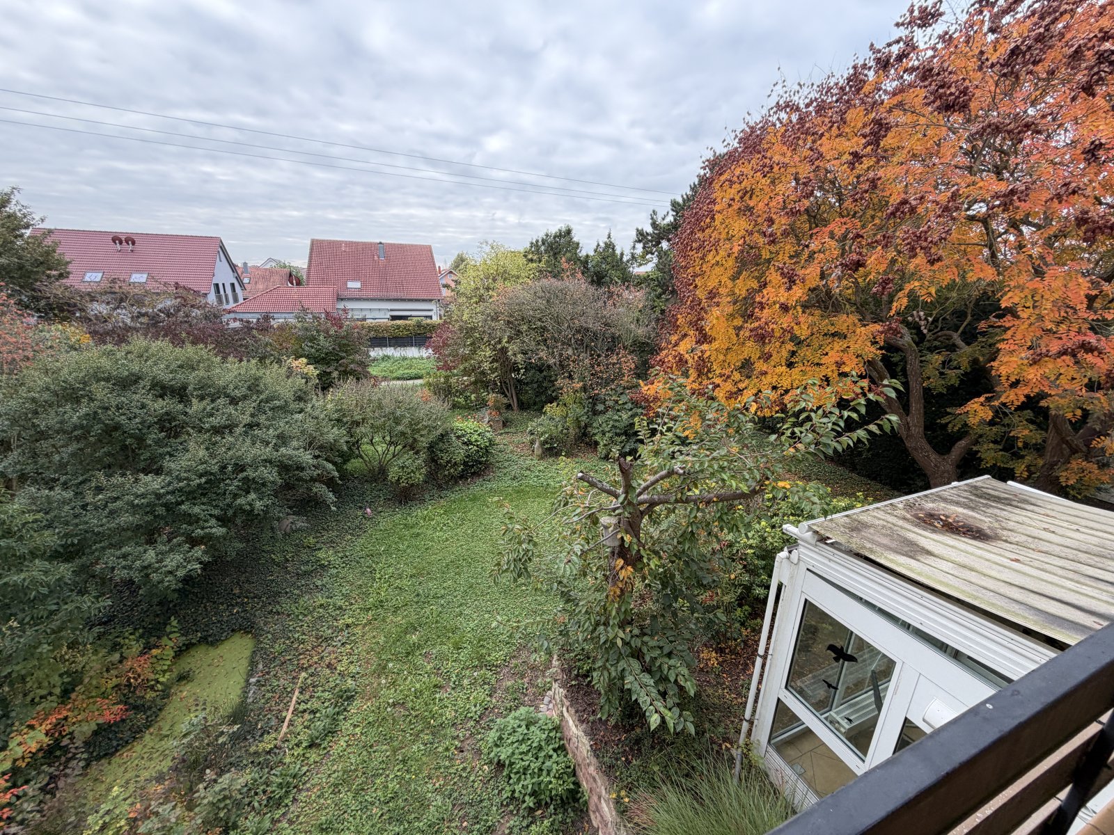 OG-Blick-Garten