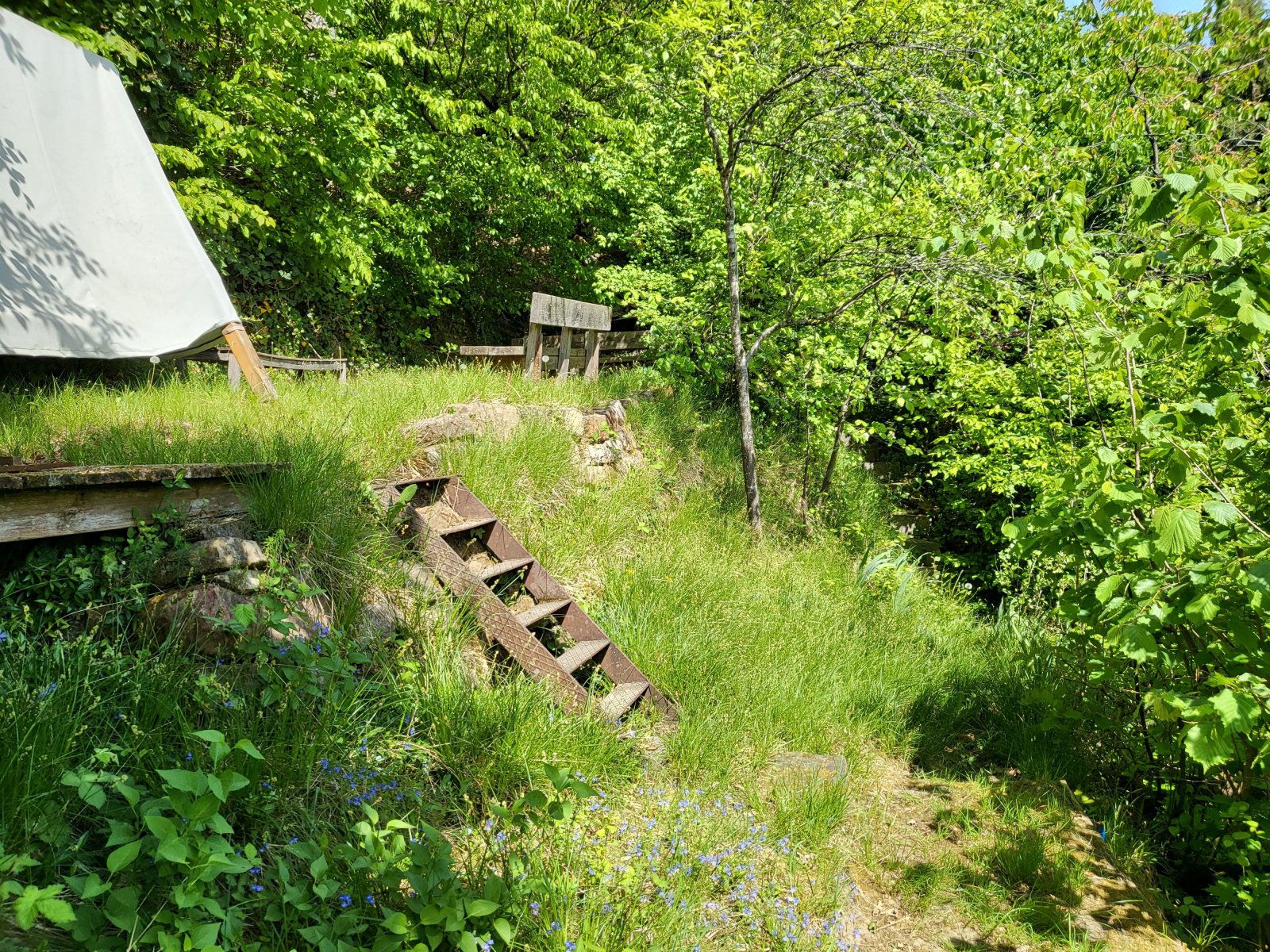 Gartenflaeche