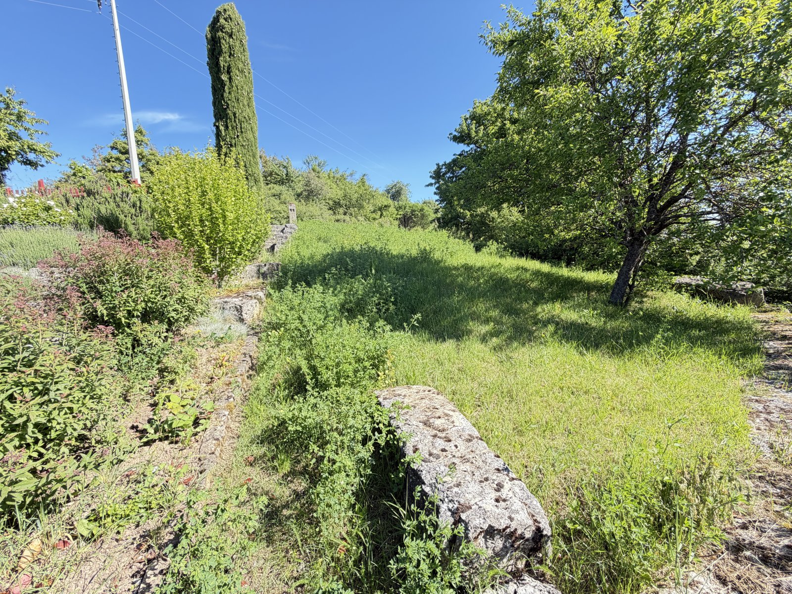 Garten Garten