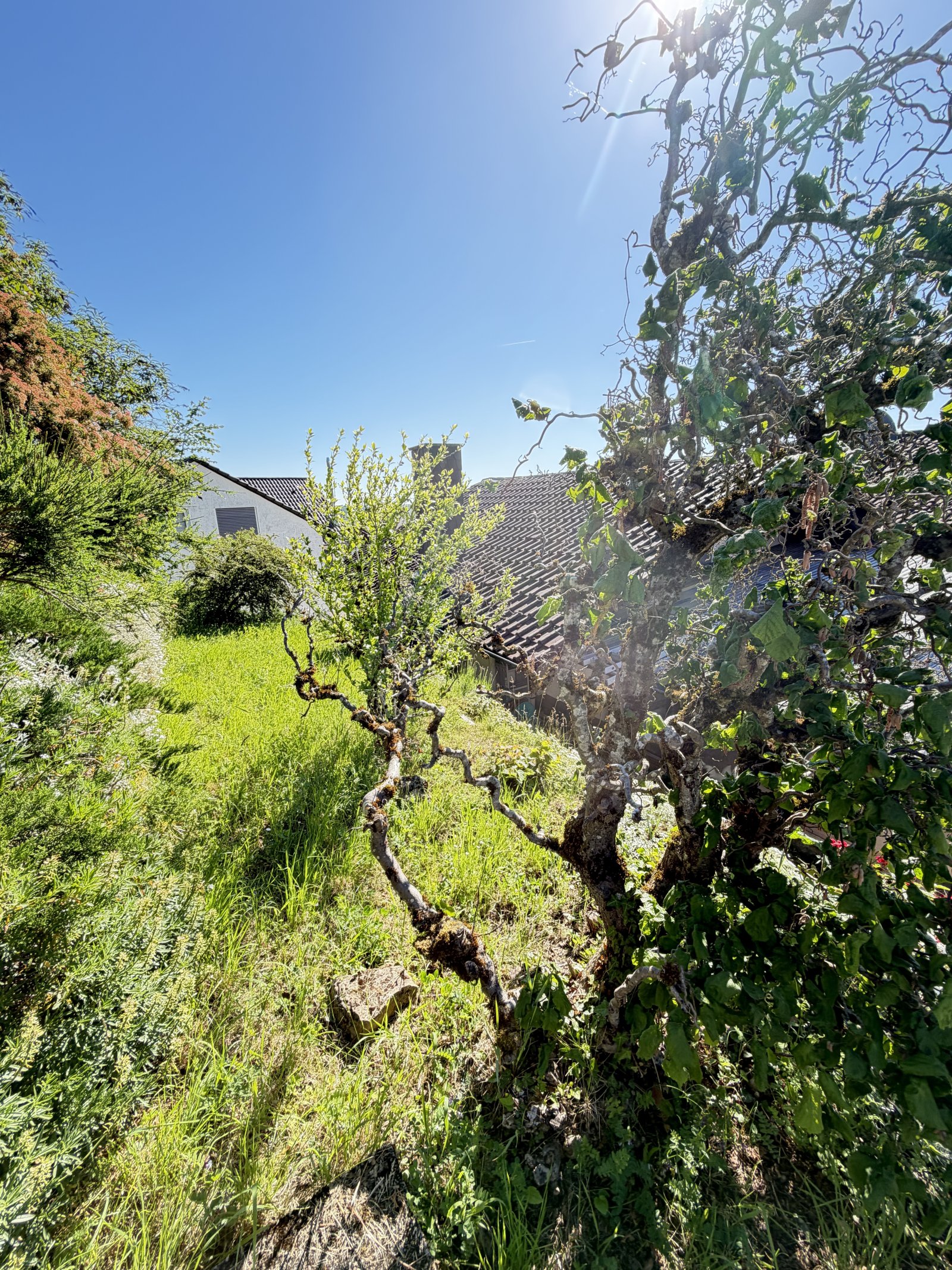 Garten Garten