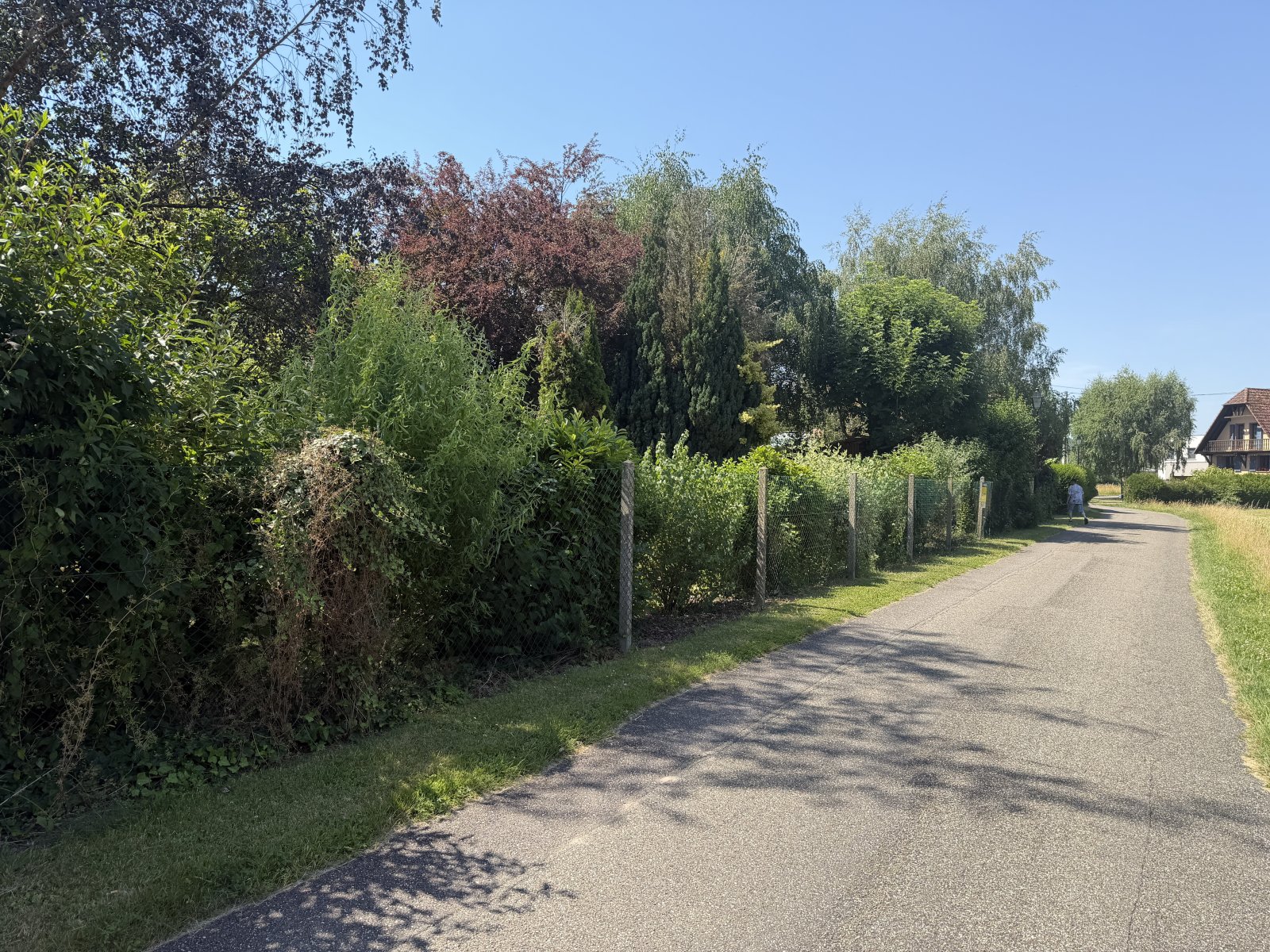 Weg am Baugelaende Weg am Baugelaende