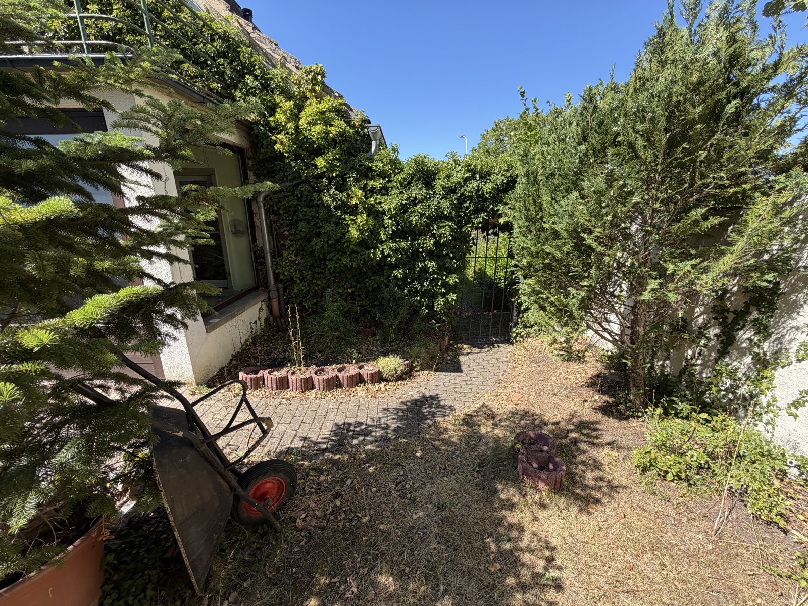 Garten Garten