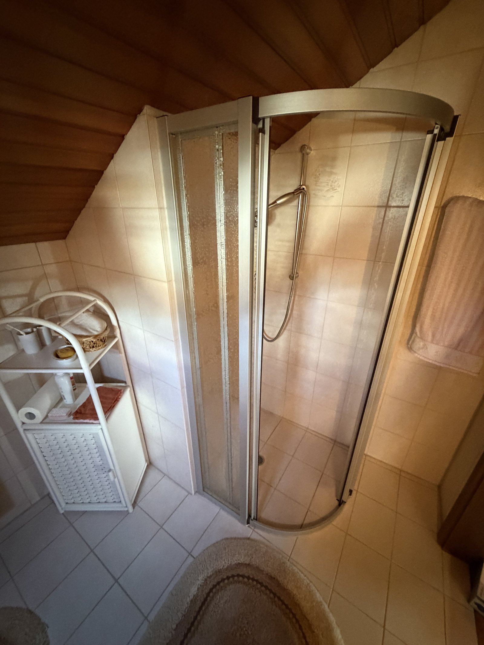 OG-Bad-Dusche OG-Bad-Dusche